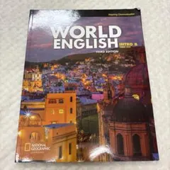 WORLD ENGLISH INTRO B THIRD EDITION