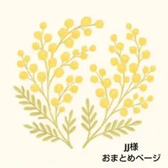 JJ様 リクエスト 3点 まとめ商品
