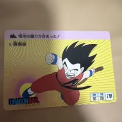 ドラゴンボールZ カードダス 孫悟飯 ホログラム仕様 1991年 2枚セット