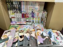 フラワーコミックス 漫画 まとめ売り 聖女の魔力は万能です 末っ子皇女