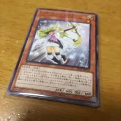 遊戯王９枚　ハイキューピット