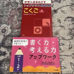 Item thumbnail for item 3938af33-4e4b-4d00-9764-82208ea057de