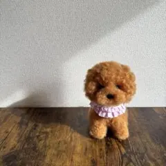 お迎え待ち】ふわふわ水色リボンのトイプーちゃん ※アクリルケースつき