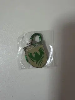 東京ヴェルディ カラビナ メタルチャーム キーホルダー