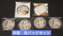 ふしぎ遊戯　井宿　缶バッジセット