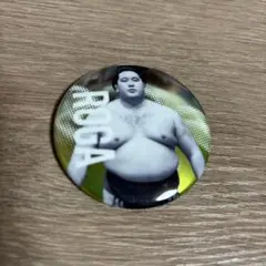 大相撲ガチャ 狼雅