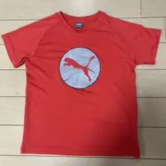 PUMA レッド Tシャツ
