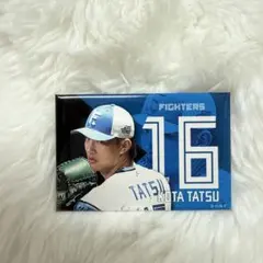 北海道日本ハムファイターズ 達孝太 選手 マグネット