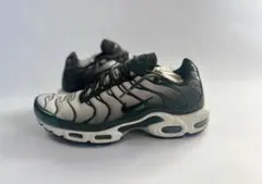 Nike Air Max Plus 28cm