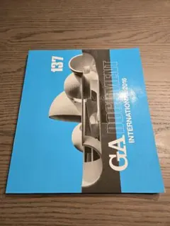 GA DOCUMENT 137 International 2016