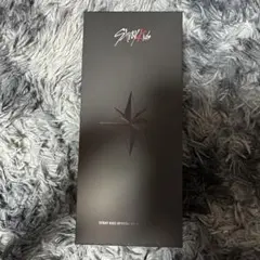 Stray Kids Official Light Stick Ver.2