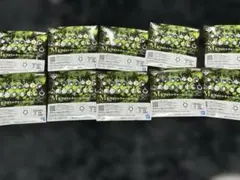 一番くじ　呪術廻戦　アクリルチャーム10点未開封品