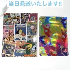 ルーニーテューンズ テレタビーズ ホログラム ジップ袋2枚セット