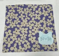 Item thumbnail for item e69d62d2-3f60-40ac-9f86-462718bb593f