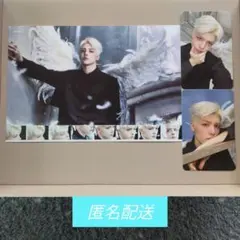 &TEAM Back to Life フォトシート・トレカ MAKI