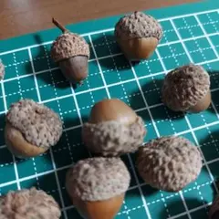 天然素材 どんぐり 超ミニサイズ 50個