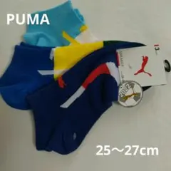 PUMA・新品・2022年ワールドカップ・サイズ25〜27cm・当日、匿名配送♪
