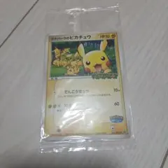 2026年最新】ポケパークのピカチュウの人気アイテム - メルカリ