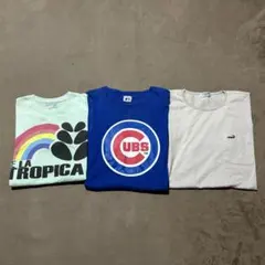 メンズ　Tシャツ 3点セット　まとめ売り　カブス　クロコダイルのサムネイル