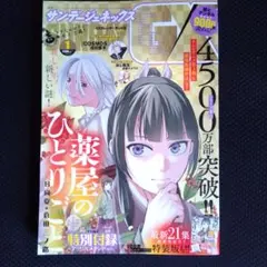 Item thumbnail for item 718c04d2-9241-46ed-bc1e-250d78c5ce8b