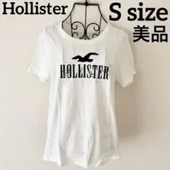 HOLLISTER ホリスター ビッグロゴTシャツ ワッペン アメカジ　花　刺繍のサムネイル