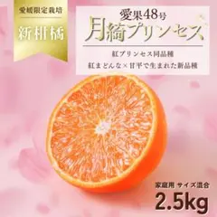 愛果28号　10ｋｇ 2026年最新】愛果28号 10kgの人気アイテム - メルカリ