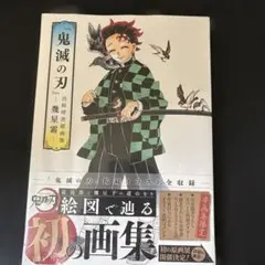 初版 鬼滅の刃 イラスト集 吾峠呼世晴画集 -幾星霜- - メルカリ