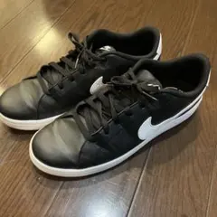NIKE スニーカー CW2533-001 ブラック 29cmのサムネイル