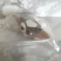 新品 カプセルフロッキーズ グレムリン ギズモ ガチャガチャ 転ぶ