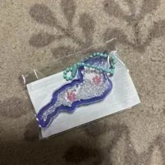 Biwako 琵琶湖キーホルダー　カプセルトイ　紫色　肉球