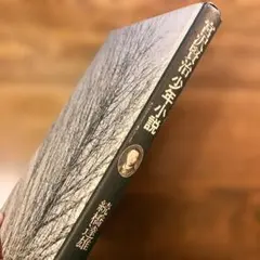 宮沢賢治　少年小説