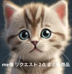 me様 リクエスト 2点 まとめ商品