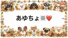 専用