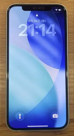 Apple iPhone 12 本体 グリーン