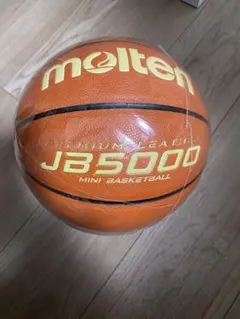 5号 バスケットボール