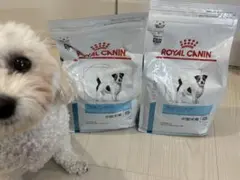 1キロ×２個セットROYAL CANIN スキンケア 小型犬用 1kg