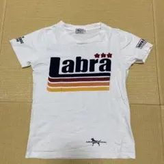 ラブラドールリトリバーＴシャツのサムネイル