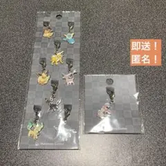 即送！【ブイズ】ポケットモンスター 全国ずかん メタルチャーム