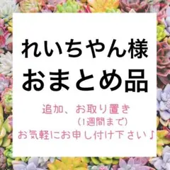 れいちやん様　追加品