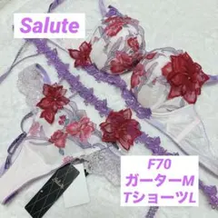 2026年最新】サルート f70の人気アイテム - メルカリ
