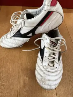 2025年最新】モレリア2 26.0の人気アイテム - メルカリ