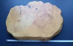 Item thumbnail for item 69f5fbf7-8732-4ef5-83a6-2ea7862ffebe