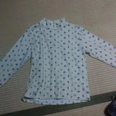 Item thumbnail for item 089e1d2d-af0e-497a-9c56-8811bf13dba6