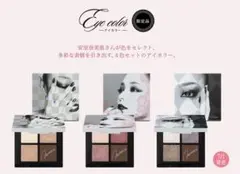 安室奈美恵 × VISEE/ヴィセ アイカラーパレット 3点セット