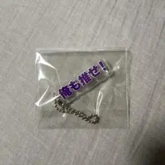 【匿名配送】からぴちミュージアム　トレーディングテロップキーホルダー