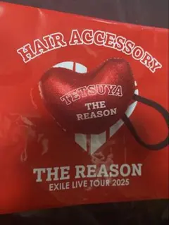 EXILE TETSUYA ヘアゴム