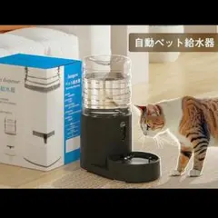 Item thumbnail for item 3ec27be4-4e1a-4e32-94f5-6fe0bfe6abe7