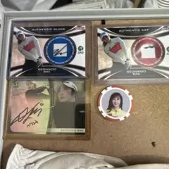 Item thumbnail for item 4ee061a7-14c2-490b-8060-0534c0f9b596