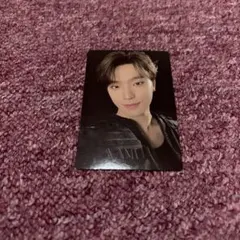 SEVENTEEN follow again トレカ セルカ ディノ