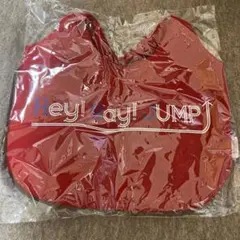 Hey! Say! JUMP 全国ツアー2013 トートバッグ